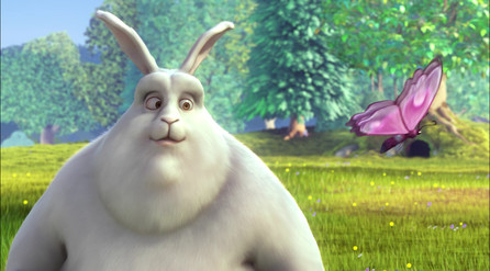 Karta přehrávala video Big Buck Bunny v rozlišení1080p ve formátu AVI, kódovaném kodekem MPEG4 bez ztracených snímků