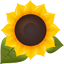 sunflower.png