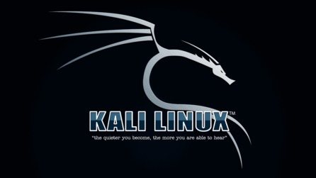 Obrázok 1: Kali linux wallpaper z roku 2015