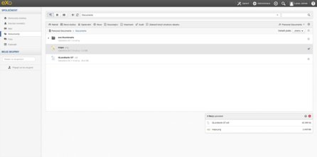 Seznam dokumentů (dva byly právě uloženy na server)