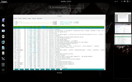 O dění v systému vám poví Htop, který jednoduše nainstalujete z repozitářů