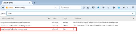 Workaround – pokud nefunguje automatická aktualizace, nastavte tento parametr