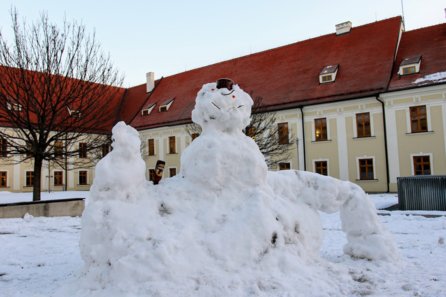 Sněhulák