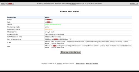 Detail hlídaného vzdáleného serveru