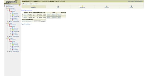 phppgadmin: Pohled na nově vytvořené databáze