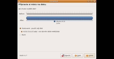 Možnosti rozdělení disku při instalaci distribuce Ubuntu 8.10 Intrepid Ibex