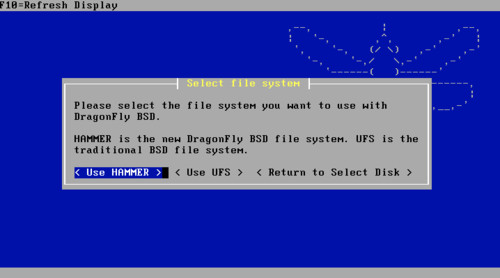 Ak sa rozhodnete DragonFly BSD inštalovať, môžete využívať i súborový systém Hammer