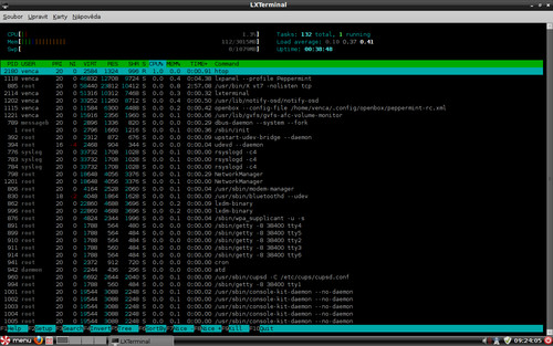 Htop prozradí, co se ve vašem počítači děje (doinstalováno)