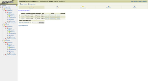 phppgadmin: Pohled na nově vytvořené databáze