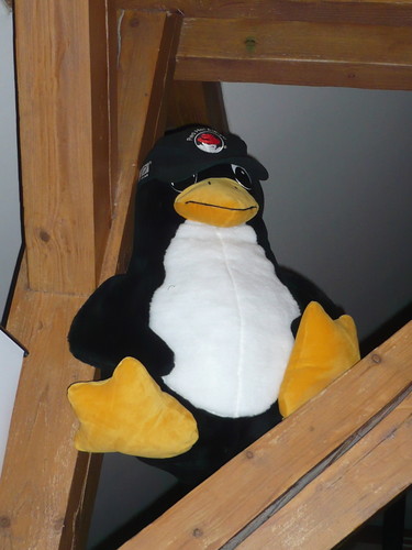 Zvídavý Tux