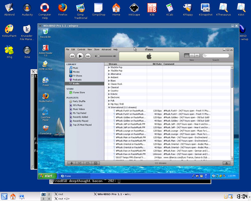 Windows XP vo Win4BSD, komercionalizovanom Qemu/Kqemu