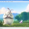 vlc.png