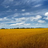 krajina
