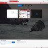 vivaldi_2.png