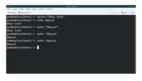 shell_linux_02_01.png