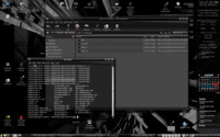 Linux Mint X, Pavel Král