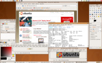 Ubuntu 8.04, Pavel Lisa
