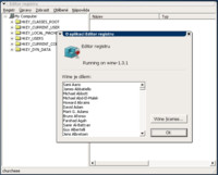 Editor registru s nesvobodnou Tahomou
