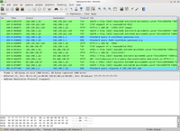 Síťový monitorovací program Wireshark