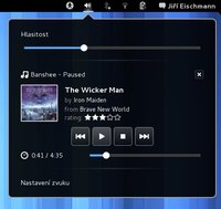 Media Player Indicator