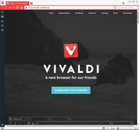 vivaldi_1.png