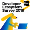 JetBrains Developer Ecosystem Survey 2018
