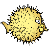 openbsd_perex.png